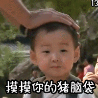 摸摸你的猪脑袋
