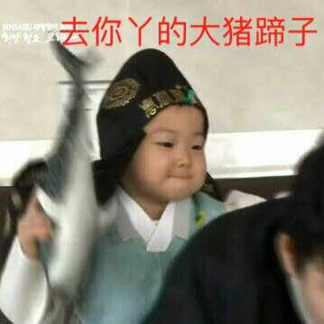 去你丫的大猪蹄子