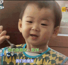 你是猪