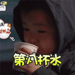 第八杯水