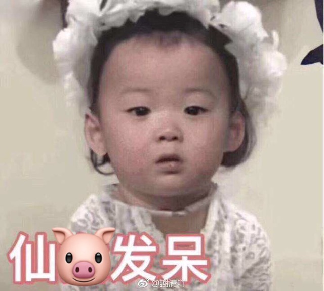 仙猪发呆
