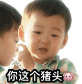 你个猪头